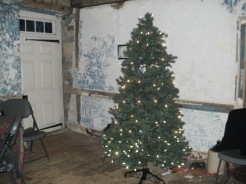 Inside the house, a tree in the Living Room
